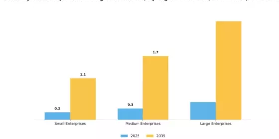 Germany Business Process Management Market Segment Image 4