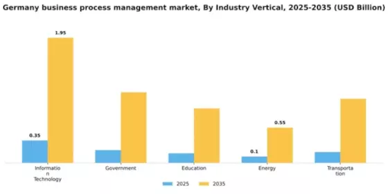 Germany Business Process Management Market Segment Image 3