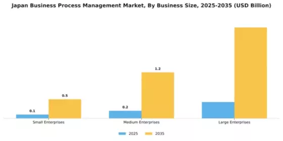Japan Business Process Management Market Segment Image 1