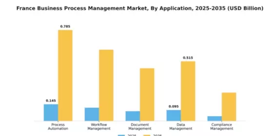 France Business Process Management Market Segment Image 0