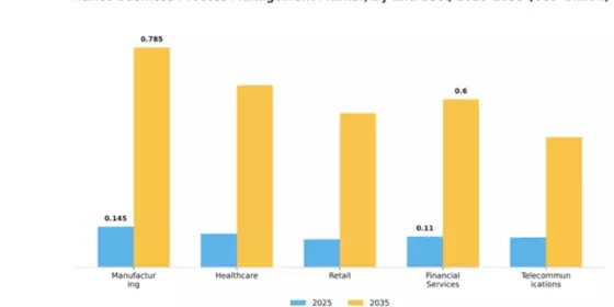 France Business Process Management Market Segment Image 2