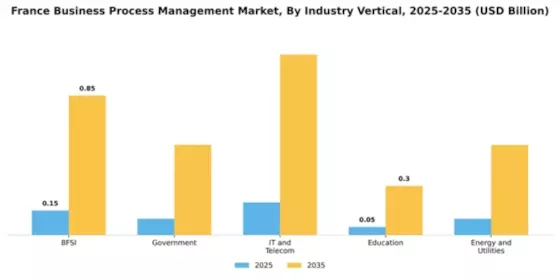 France Business Process Management Market Segment Image 3