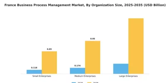 France Business Process Management Market Segment Image 4