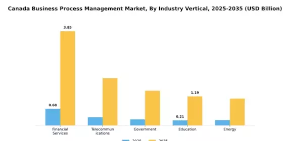 Canada Business Process Management Market Segment Image 4