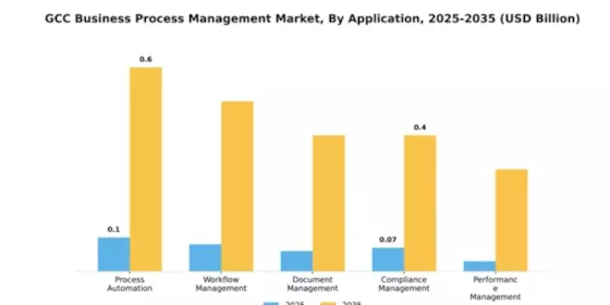 GCC Business Process Management Market Segment Image 0