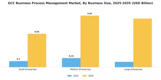 GCC Business Process Management Market Segment Image 1