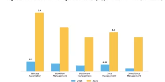 Argentina Business Process Management Market Segment Image 0