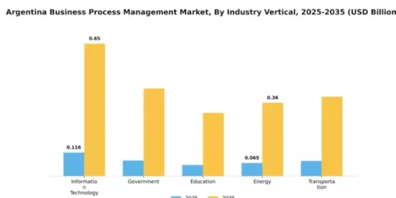 Argentina Business Process Management Market Segment Image 4