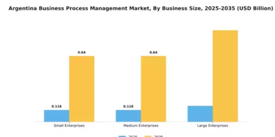Argentina Business Process Management Market Segment Image 1