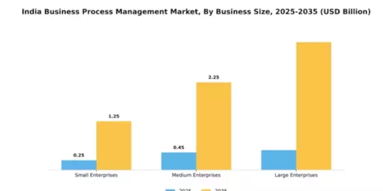India Business Process Management Market Segment Image 1