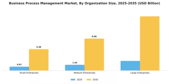 APAC Business Process Management Market Segment Image 4