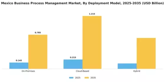 Mexico Business Process Management Market Segment Image 2