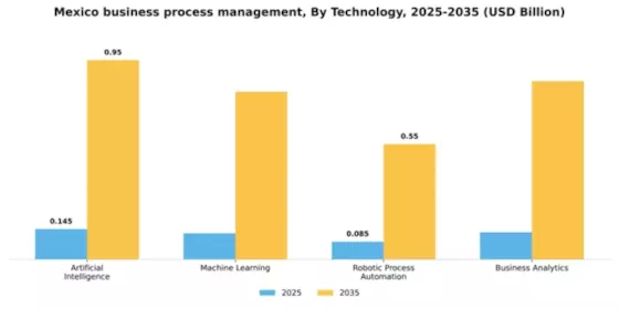 Mexico Business Process Management Market Segment Image 4