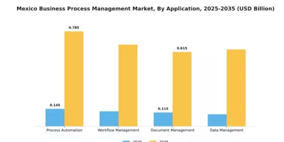 Mexico Business Process Management Market Segment Image 0