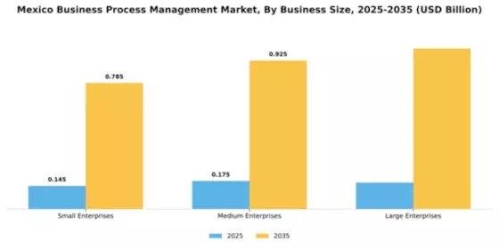 Mexico Business Process Management Market Segment Image 1