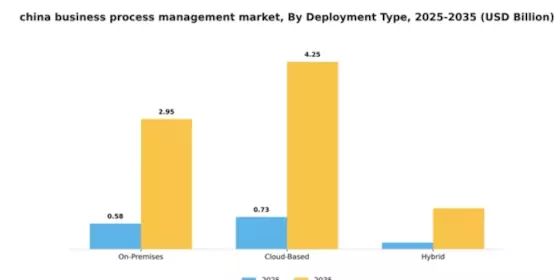 China Business Process Management Market Segment Image 1
