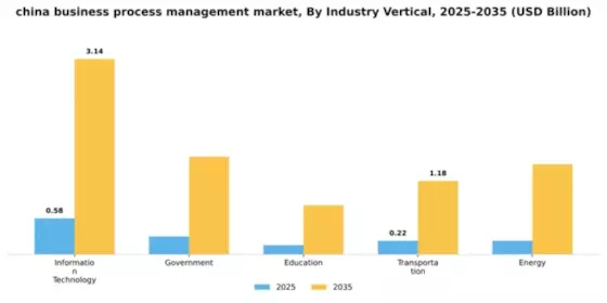 China Business Process Management Market Segment Image 3
