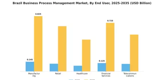 Brazil Business Process Management Market Segment Image 3