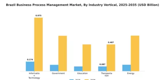 Brazil Business Process Management Market Segment Image 4