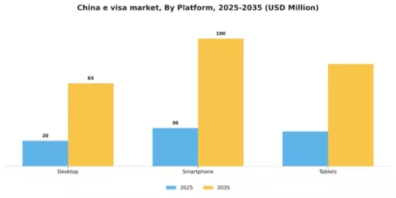 China E Visa Market Segment Image 2