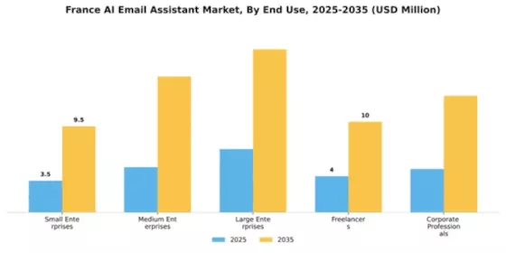France AI Email Assistant Market Segment Image 2