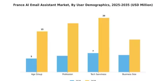 France AI Email Assistant Market Segment Image 4