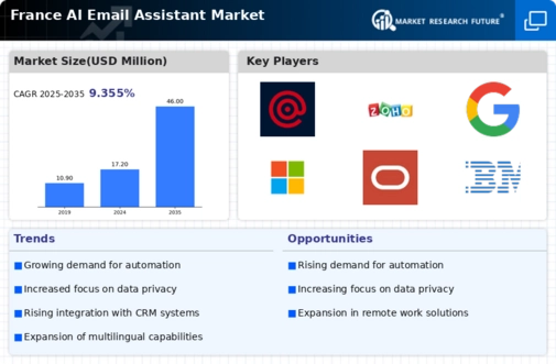 France AI Email Assistant Market Infographic