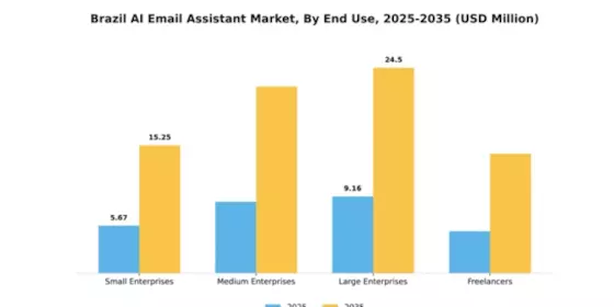 Brazil AI Email Assistant Market Segment Image 2