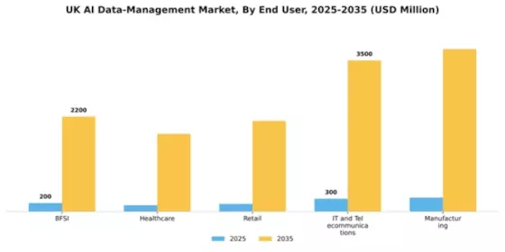 UK AI Data Management Market Segment Image 2