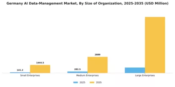Germany AI Data Management Market Segment Image 3