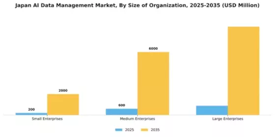 Japan AI Data Management Market Segment Image 3