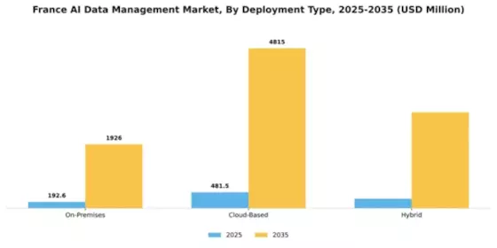 France AI Data Management Market Segment Image 1