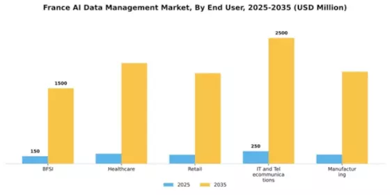 France AI Data Management Market Segment Image 2