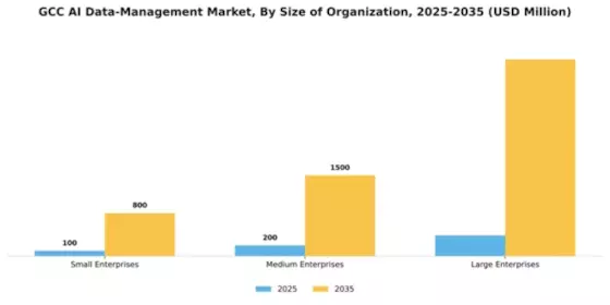 GCC AI Data Management Market Segment Image 3