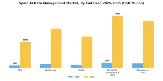 Spain AI Data Management Market Segment Image 2
