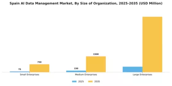 Spain AI Data Management Market Segment Image 3