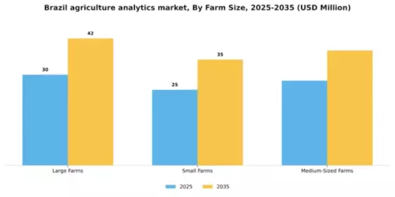Brazil Agriculture Analytics Market Segment Image 3