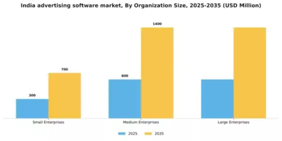 India Advertising Software Market Segment Image 3