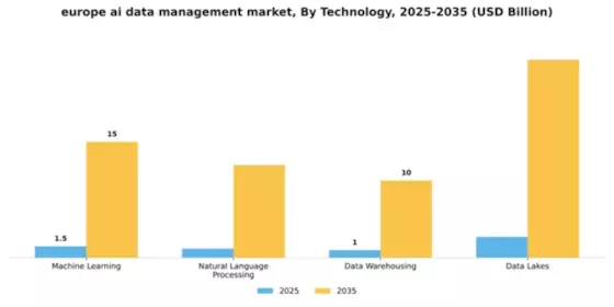 Europe AI Data Management Market Segment Image 4