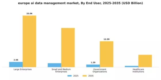 Europe AI Data Management Market Segment Image 3