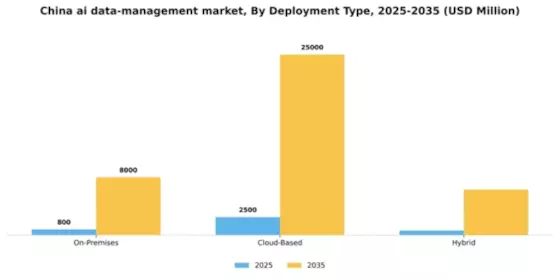 China AI Data Management Market Segment Image 1