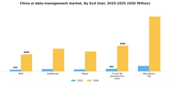 China AI Data Management Market Segment Image 2