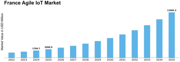 France Agile IoT Market Size