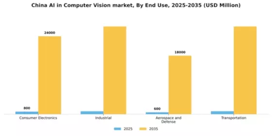 China AI in Computer Vision Market Segment Image 2