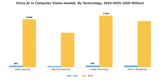 China AI in Computer Vision Market Segment Image 3