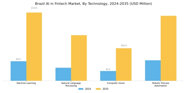 Brazil AI in Fintech Market Segment Image 2