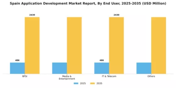 Spain Application Development Market Segment Image 0