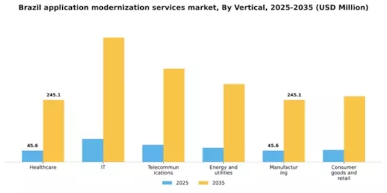 Brazil Application Modernization Services Market Segment Image 2