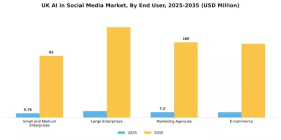 UK AI in Social Media Market Segment Image 2