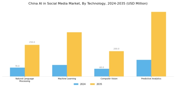 China AI in Social Media Market Segment Image 3